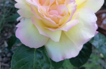 Ferienwohnung Winzenburg in der Nähe vom Steinhuder Meer und Dinopark Münchehagen - Foto 58