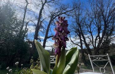 Villa au cœur de la Provence en pleine nature plage a 30 kilometres - Foto 37