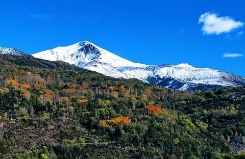 Apartamento Laera - Foto 1