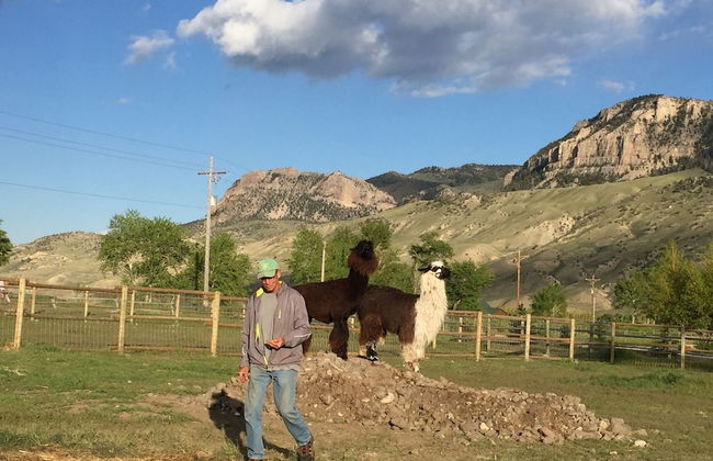 Eycat Lodging Company - Foto 31