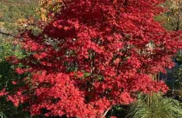 Apartments ANNY - Foto 47