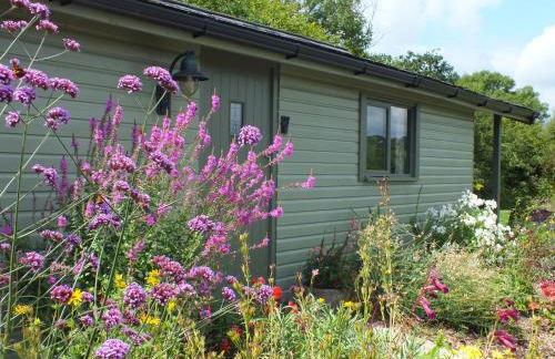 The Potting Shed And The Garden Shed Self Catering - Photo 17