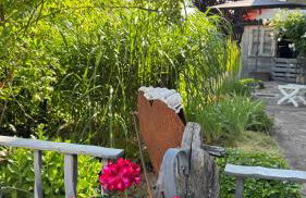 Ferienwohnung RhönKiss - Foto 28