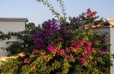 Le Casette di Sangennaro - Foto 36