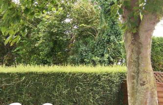 Ferme de la Ruette - Foto 26