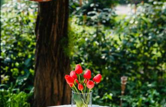 Villa Cristina - Free Private Parking in Medicina, Comfort Premium & Air Conditioning - Photo 48