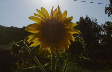 Agriturismo San Pietro - Foto 85