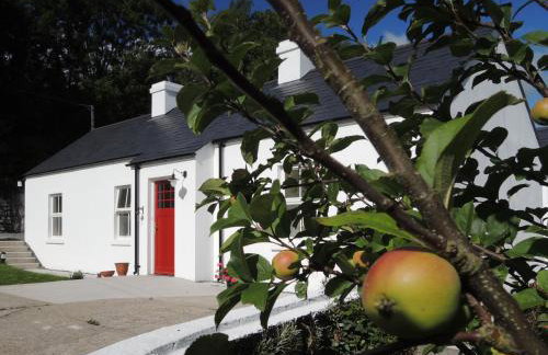 Sally's Garden - Photo 14