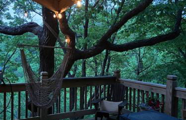 Waterfall Overlook at Bearfoot Falls - Foto 42