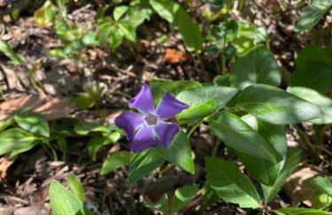 GArt House Holiday Home - Foto 22