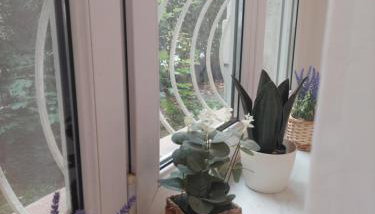 Princess apartment Zagreb - Foto 4, Garden