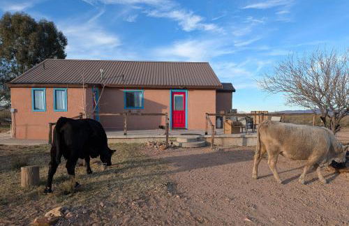 Secluded Stargazing Mecca Near Cave Creek Canyon - Foto 23