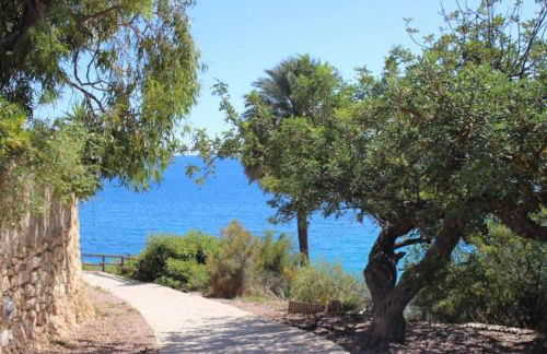 Mirando el mar - Photo 24