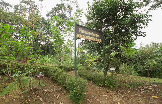 Villas Josipek - Foto 77