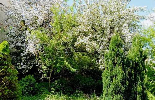 Eifel Garden Villa for Groups - Foto 63