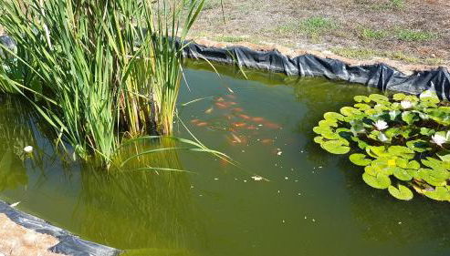 Agriturismo La Barca In Secca - Foto 3