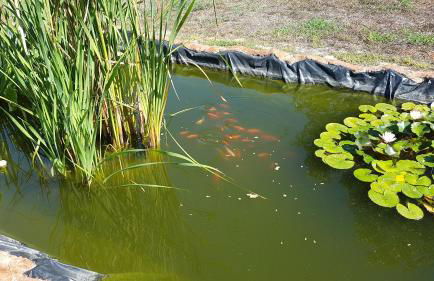 Agriturismo La Barca In Secca - Foto 3