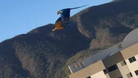 Flat Familiar a 400 metros do Hot Park com Piscinas e Conforto - Foto 5