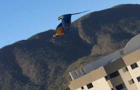 Flat Familiar a 400 metros do Hot Park com Piscinas e Conforto - Foto 5