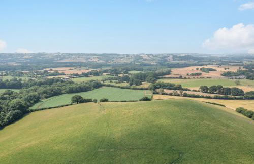 The Chestnuts - Foto 44