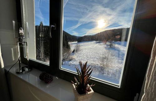 Ferienapartments Försterei Eibenstock - Foto 28