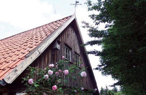 Ferienhof Rauchhaus - Foto 30
