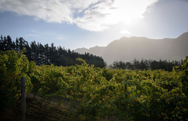 Clouds End Farm - Foto 46