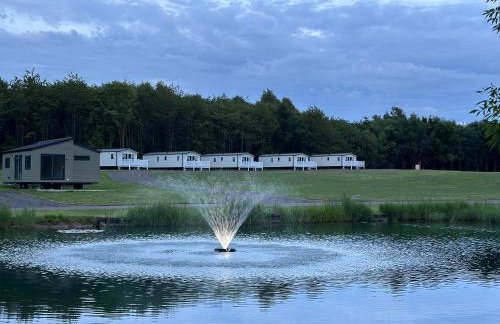 Swan Lodge - Photo 28