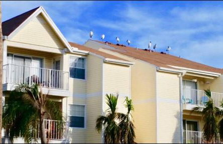 Beachside Pond View Retreat - BC155 - Foto 12