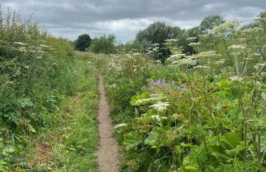 Unbox at Poplar Tree - Photo 76