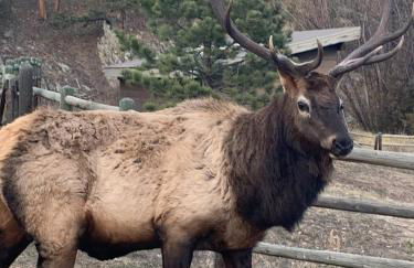 Your Mountain Retreat - Foto 39