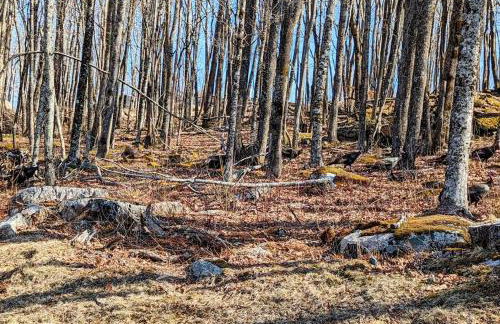 Heaven's Peak - Foto 36