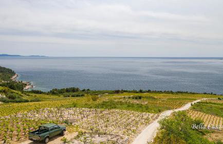 Bella Casa Eta - Photo 3