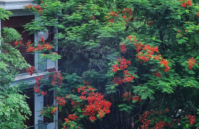 HB Serviced Apartment - 12 Tran Quy Kien - Foto 41