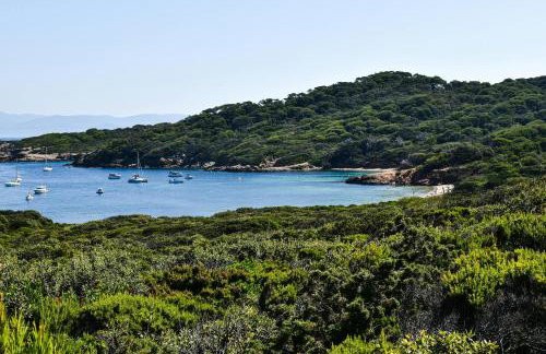 Le Port Plage Studio tout confort Terrasse Clim - Foto 25