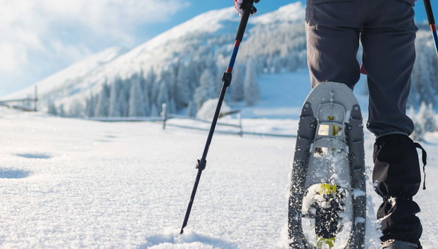 Snowshoe Trek - Photo 3, Snowshoe Trek