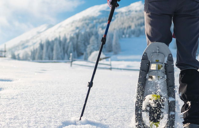 Snowshoe Trek - Photo 1