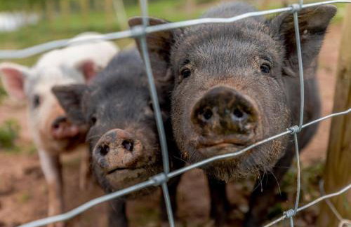 3 Bed in Worcester oc-cc037 - Foto 28