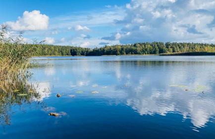 Ferienwohnung Felix - Photo 6