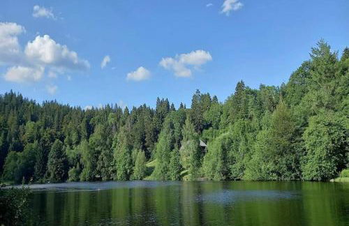 Forsthauswohnung im Schwarzwald - Foto 28