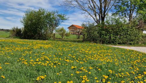 Stadlerhof Alpen- & Seeblick - Photo 4