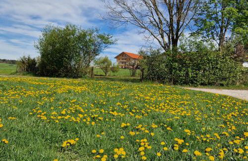 Stadlerhof Alpen- & Seeblick - Photo 4