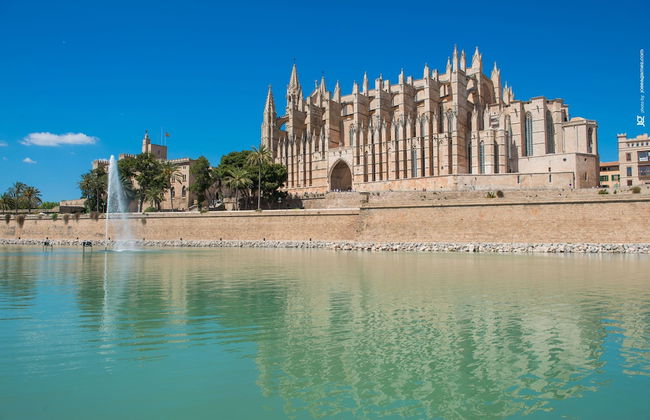 El Pradillo in Palmanyola - Photo 36