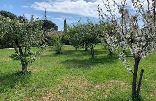 Les Grillons Maison cozy avec grand jardin - Foto 18