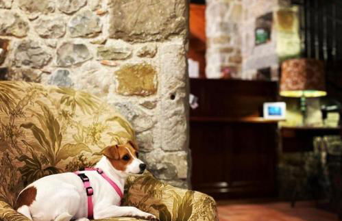 Agriturismo Clochiatti - Foto 8