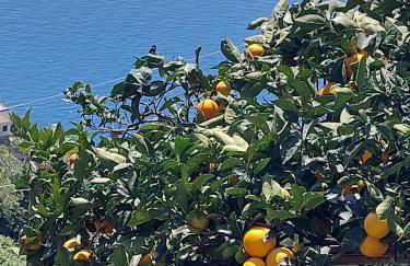 Casa Orizzonte - Foto 9