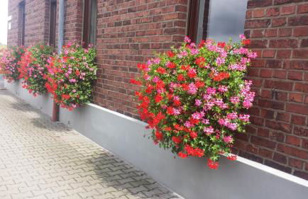 Ferienwohnung Pöttershof - Foto 7