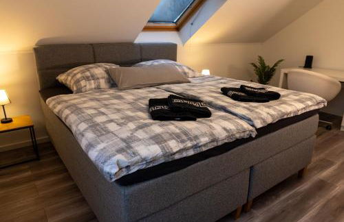 Ganzes Ferienhaus in Leipzig mit Garage und Fußbodenheizung - Photo 21