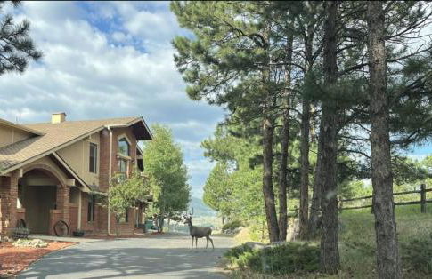 Mountain Top Luxury Red Rocks Hot tub Sauna Views - Photo 63