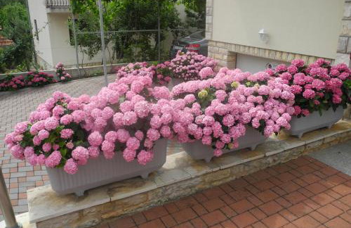 Apartments Martina - Foto 45